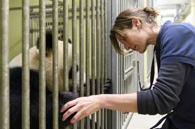 探訪法國博瓦勒動物園大熊貓飼養員團隊 守護中法友誼的動物守護者
